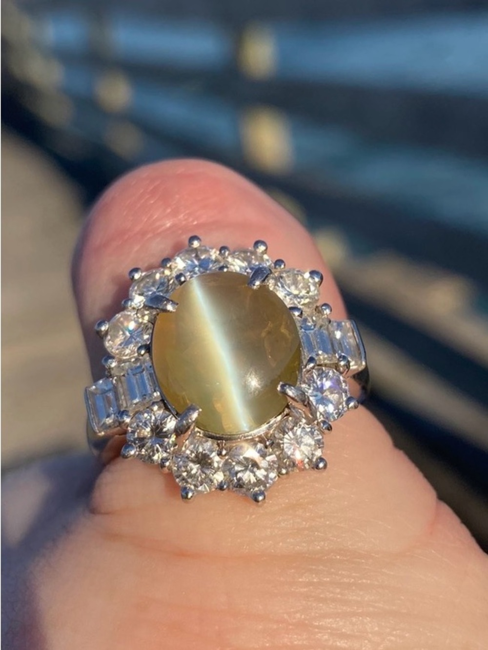 Cat's Eye Chrysoberyl Halo Ring in Platinum